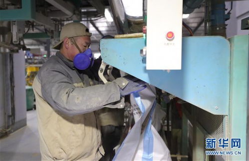 沈陽多措并舉保障飼料與畜牧產品供應，為畜牧漁業穩產提供堅實支撐