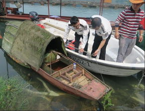 市畜牧獸醫水產局開展漁政聯合執法巡查，嚴防畜牧漁業飼料安全隱患
