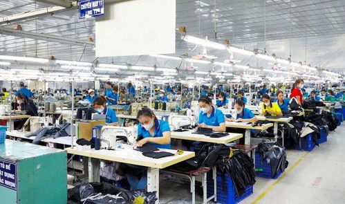 東莞電子廠外遷越南，工人失業(yè)困境與網(wǎng)絡(luò)技術(shù)服務(wù)解決方案